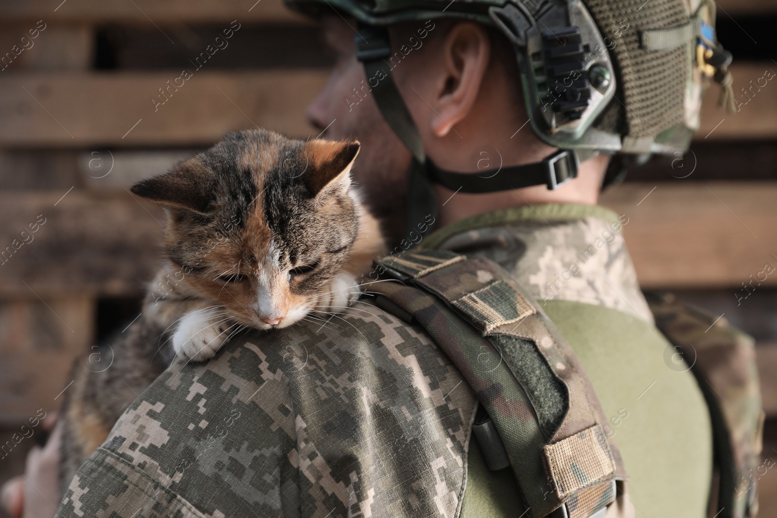 Photo of Ukrainian soldier rescuing stray cat outdoors, closeup