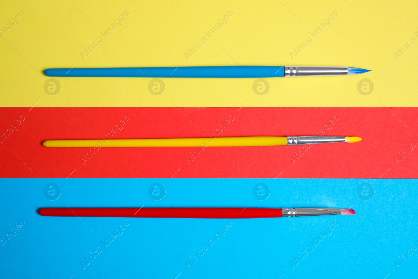 Photo of Different painting brushes on color background, flat lay