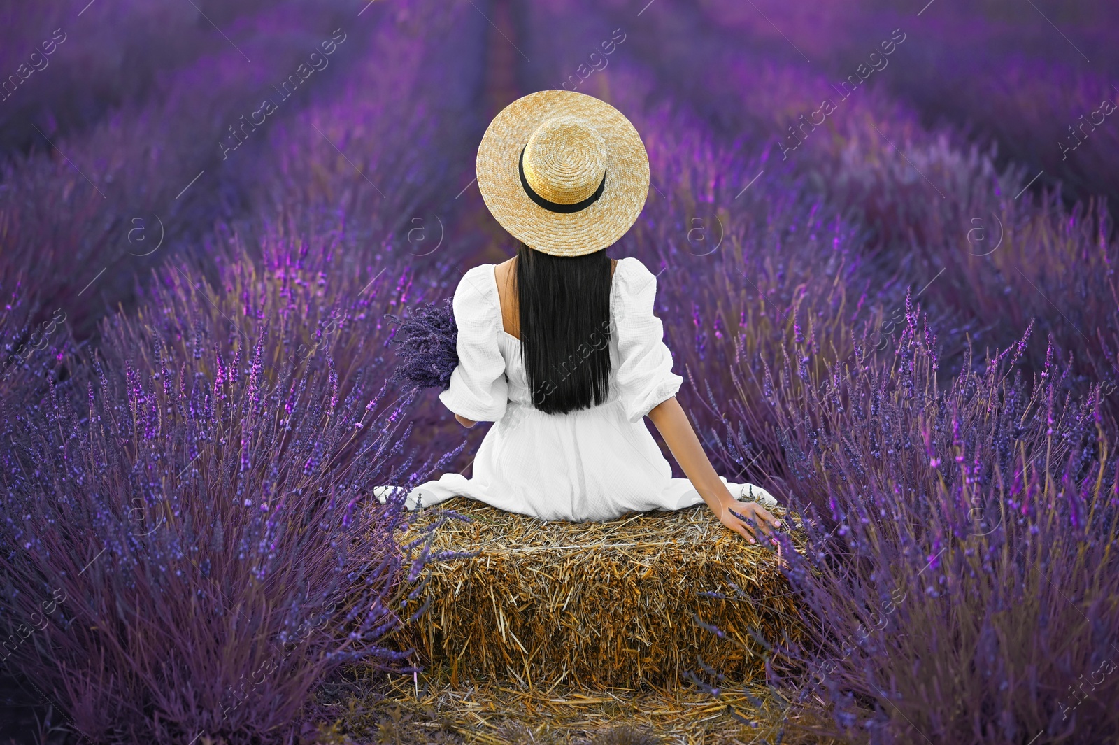 Photo of Woman sitting on hay bale in lavender field, back view