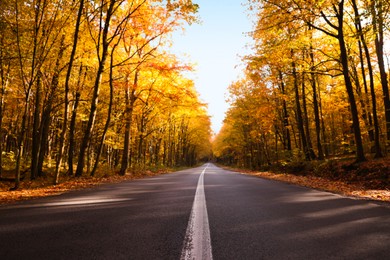 Beautiful view of asphalt road going through autumn forest