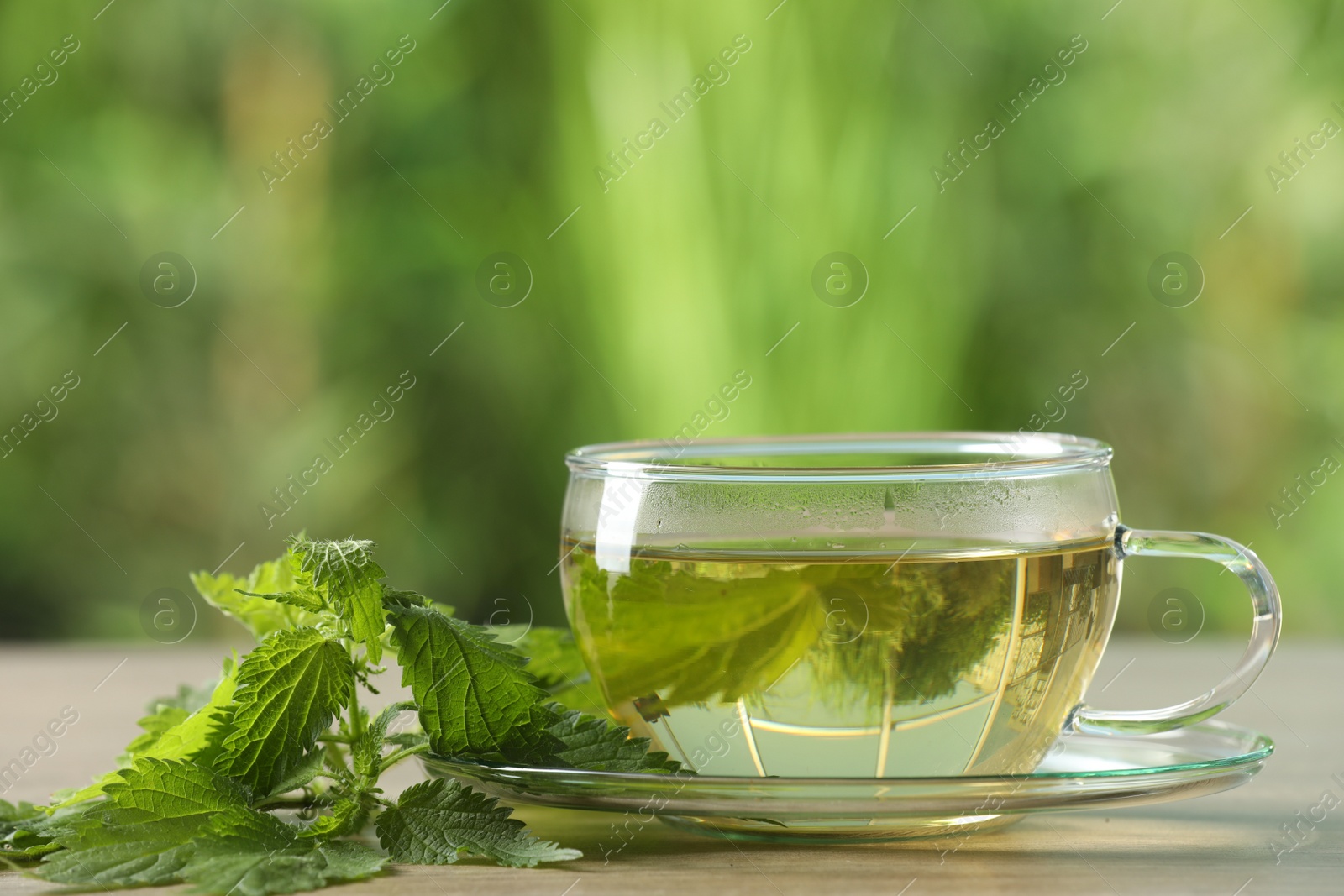 Photo of Glass cup of aromatic nettle tea and green leaves on table outdoors