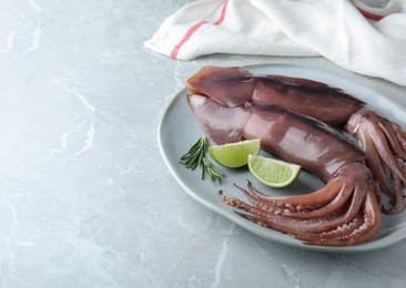Photo of Fresh raw squids with lime and rosemary on light marble table, space for text