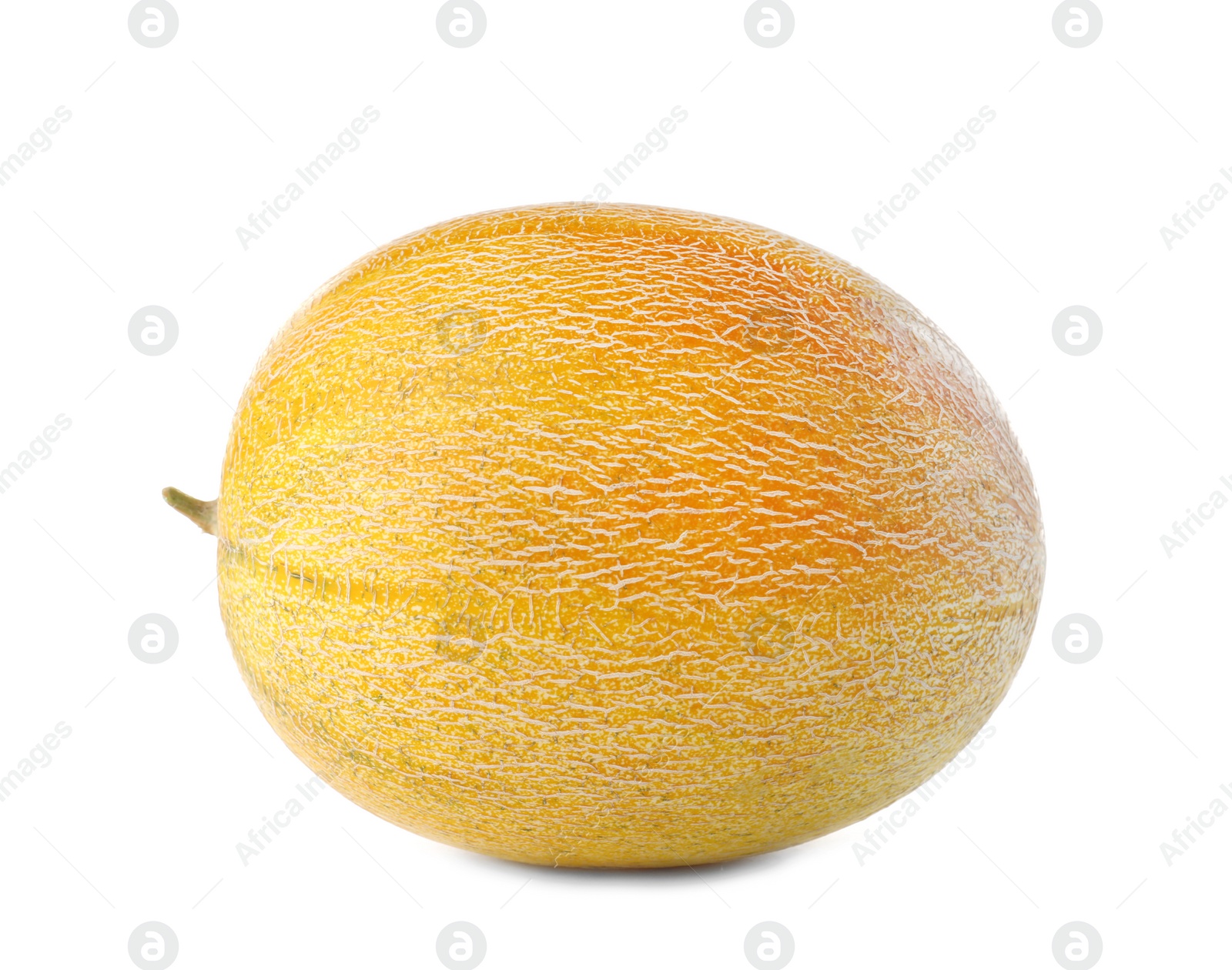 Photo of Whole tasty ripe melon on white background