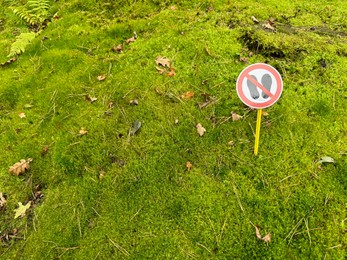 Photo of Bright moss and sign Do Not Walk outdoors, above view