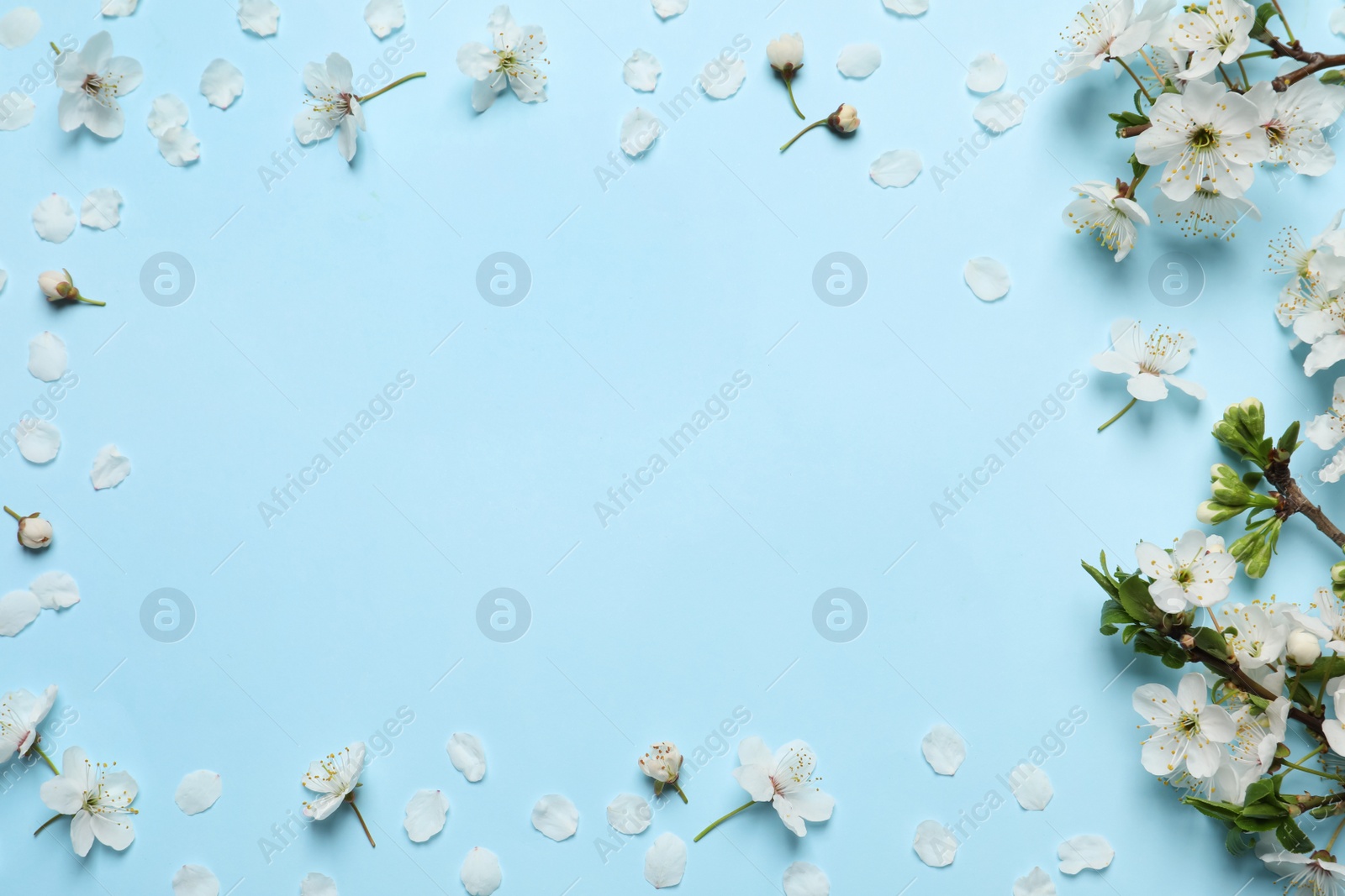 Photo of Frame of spring tree blossoms on turquoise background, flat lay. Space for text