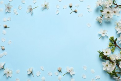 Frame of spring tree blossoms on turquoise background, flat lay. Space for text