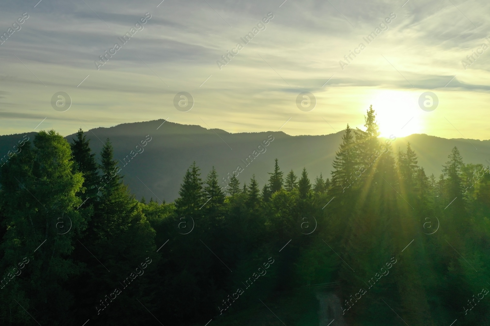 Photo of Aerial view of beautiful mountain landscape with green trees at sunrise