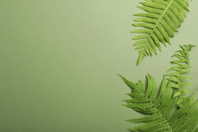 Photo of Beautiful tropical fern leaves on light green background, flat lay. Space for text