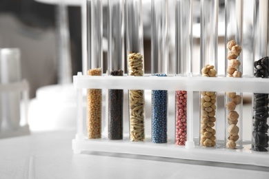 Test tubes with seeds samples on stone table in laboratory