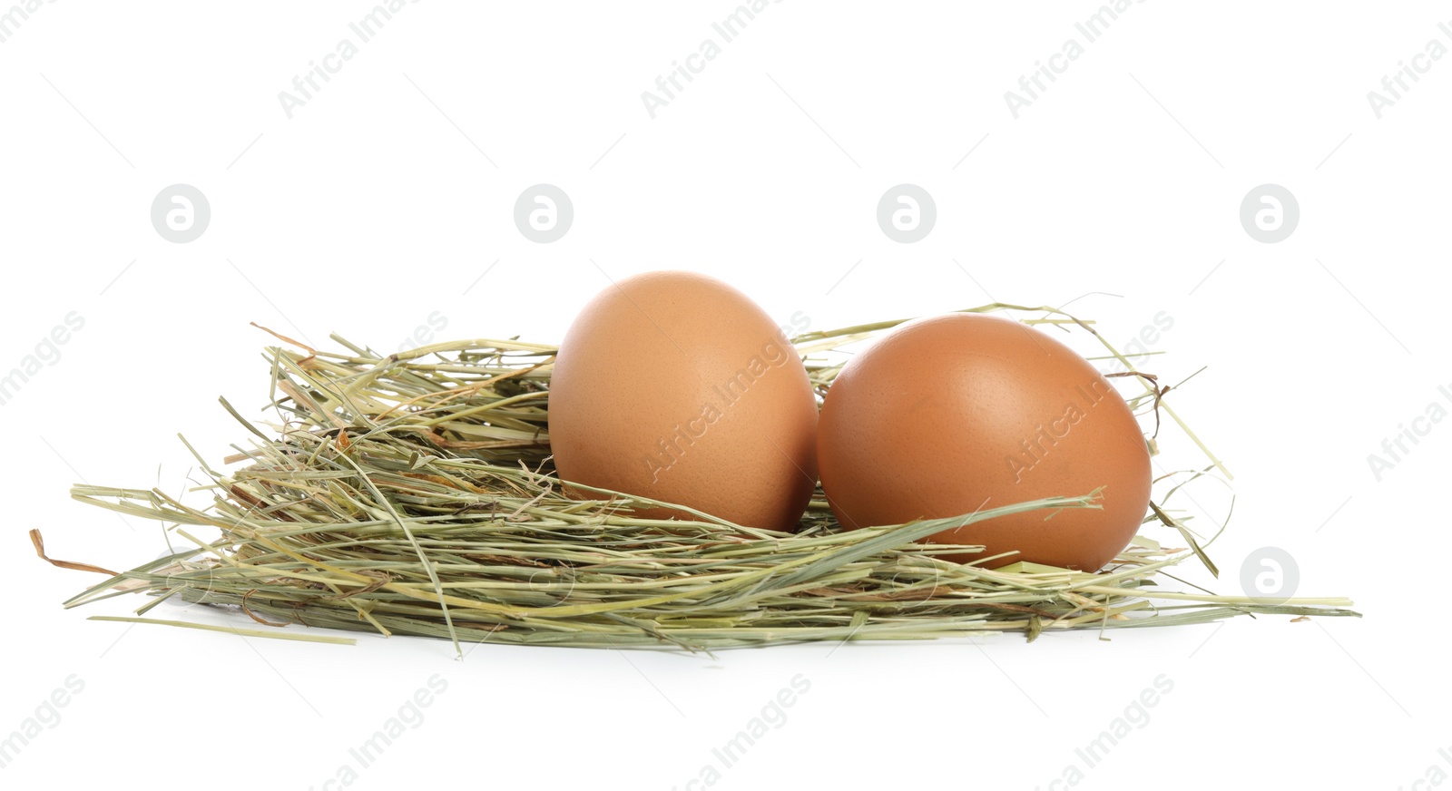 Photo of Chicken eggs in nest isolated on white