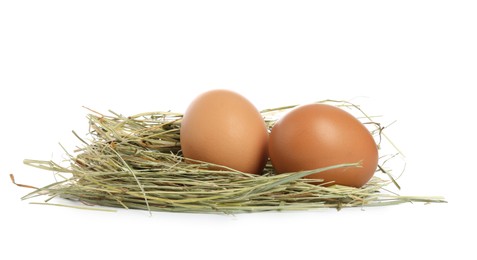 Photo of Chicken eggs in nest isolated on white