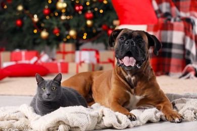 Cute dog and cat in room decorated for Christmas