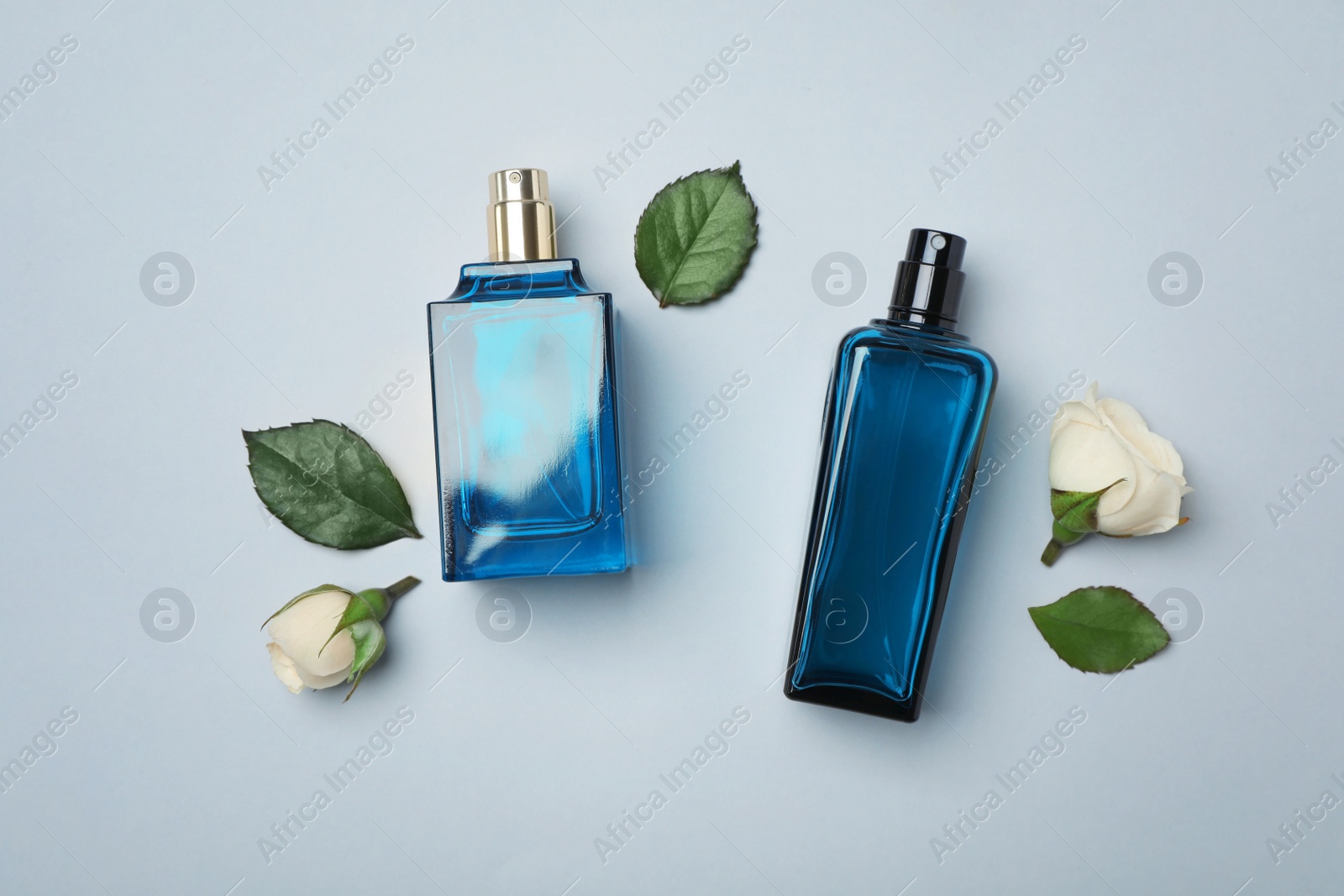 Photo of Bottles of perfume and roses on light background, top view