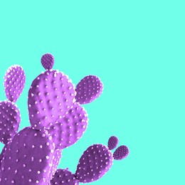 Beautiful violet cactus plant on cyan background, space for text