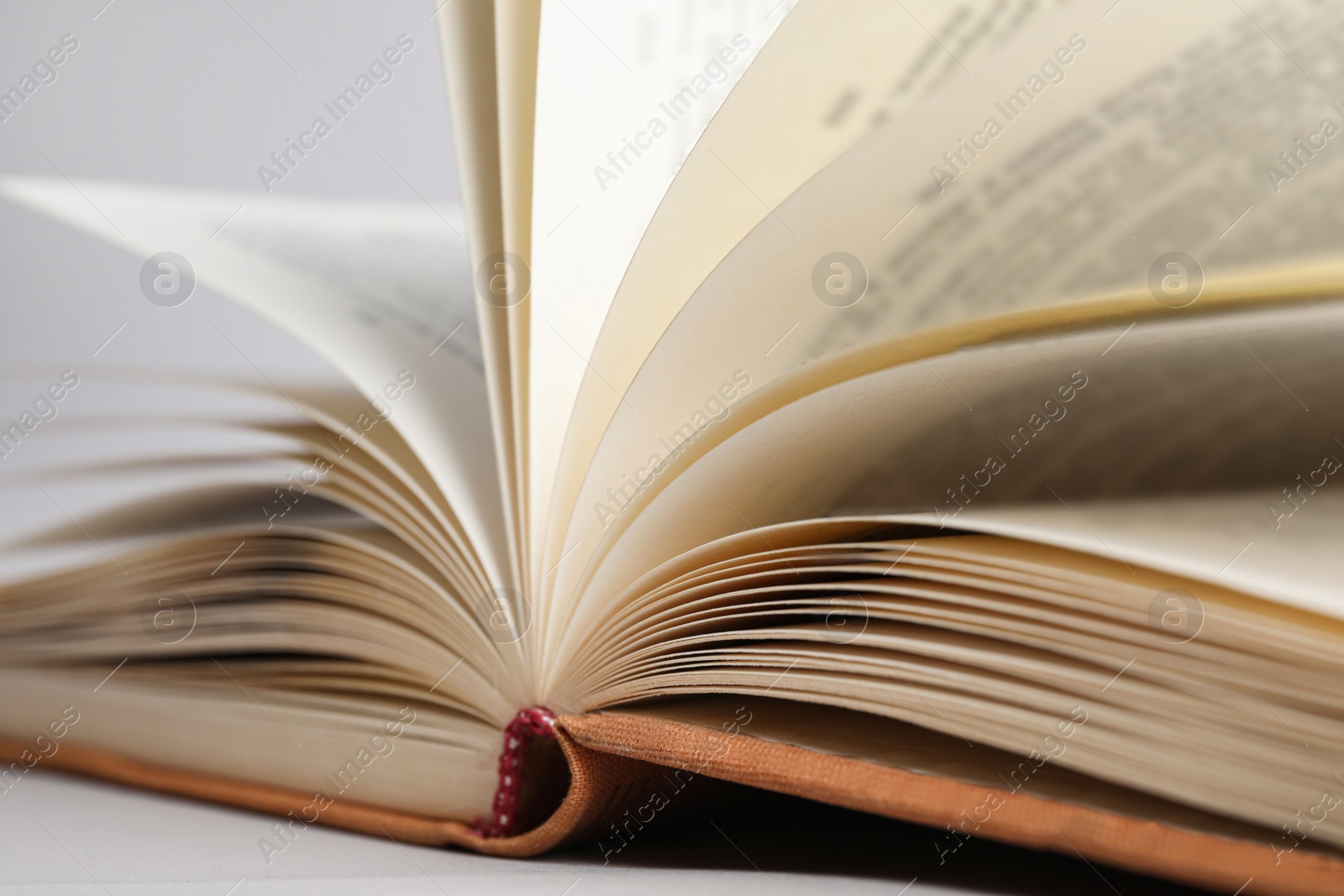 Photo of Closeup view of open book on light background