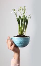 Photo of Woman holding turquoise cup with planted snowdrops on light background, closeup