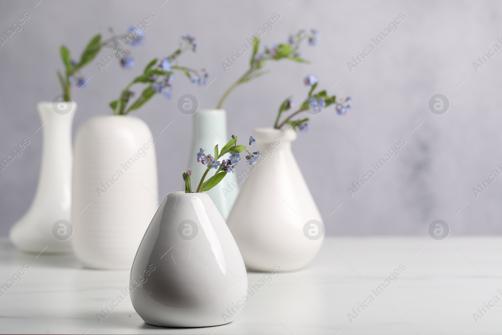 Photo of Beautiful forget-me-not flowers in vases on white table, closeup