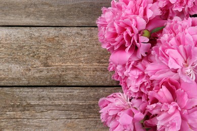 Beautiful pink peonies on wooden table, flat lay. Space for text