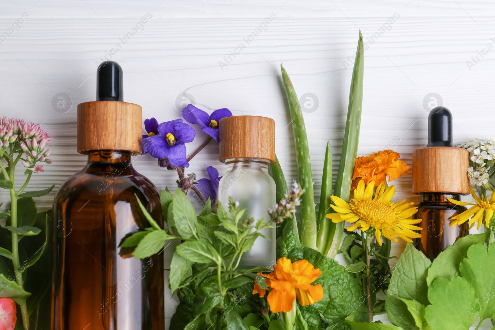 Photo of Glass bottles of aromatic essential oil and different wildflowers on white wooden table, flat lay. Space for text