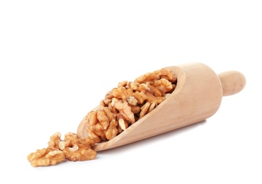Wooden scoop with tasty walnuts on white background
