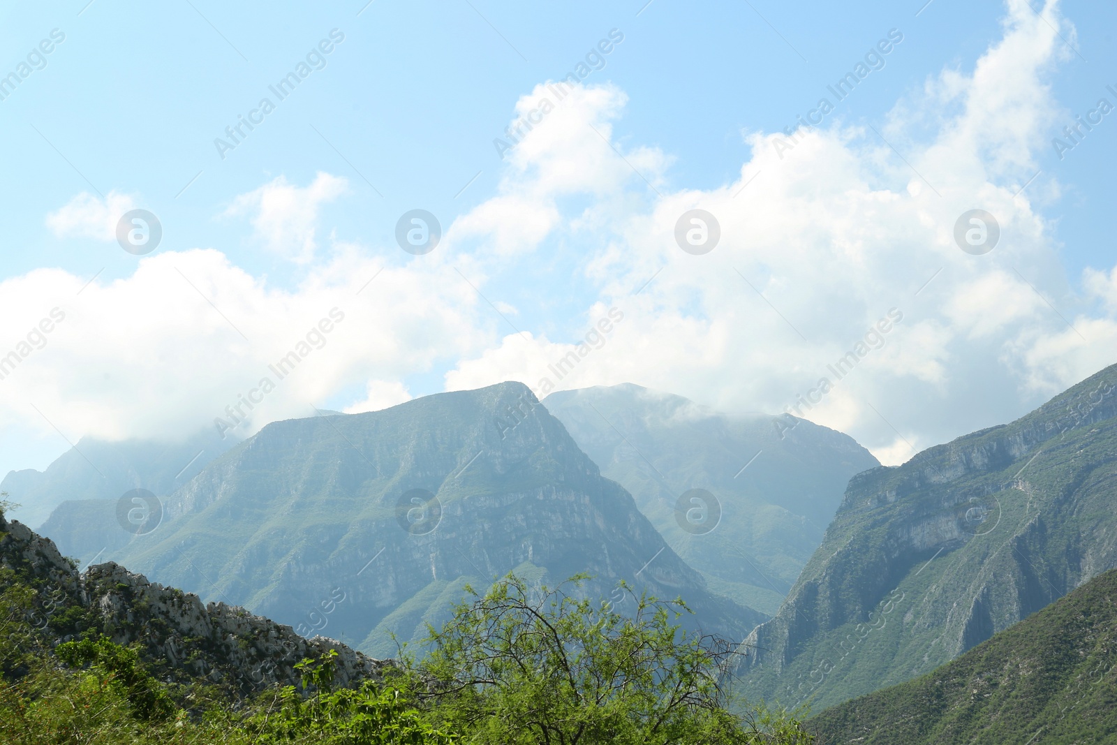 Photo of Picturesque view of beautiful mountain and trees under cloudy sky
