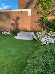 View of garden with beautiful hortensia plants and bench