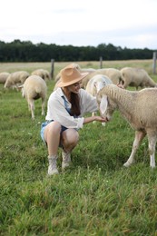 Smiling woman feeding sheep on pasture at farm