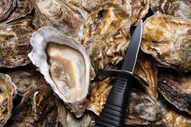 Knife on pile of fresh oysters, top view