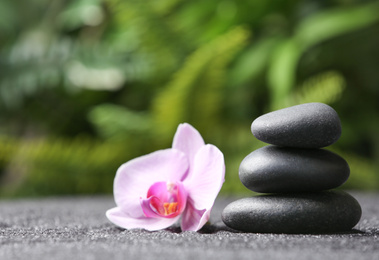 Stones and orchid flower on black sand against blurred background. Zen concept