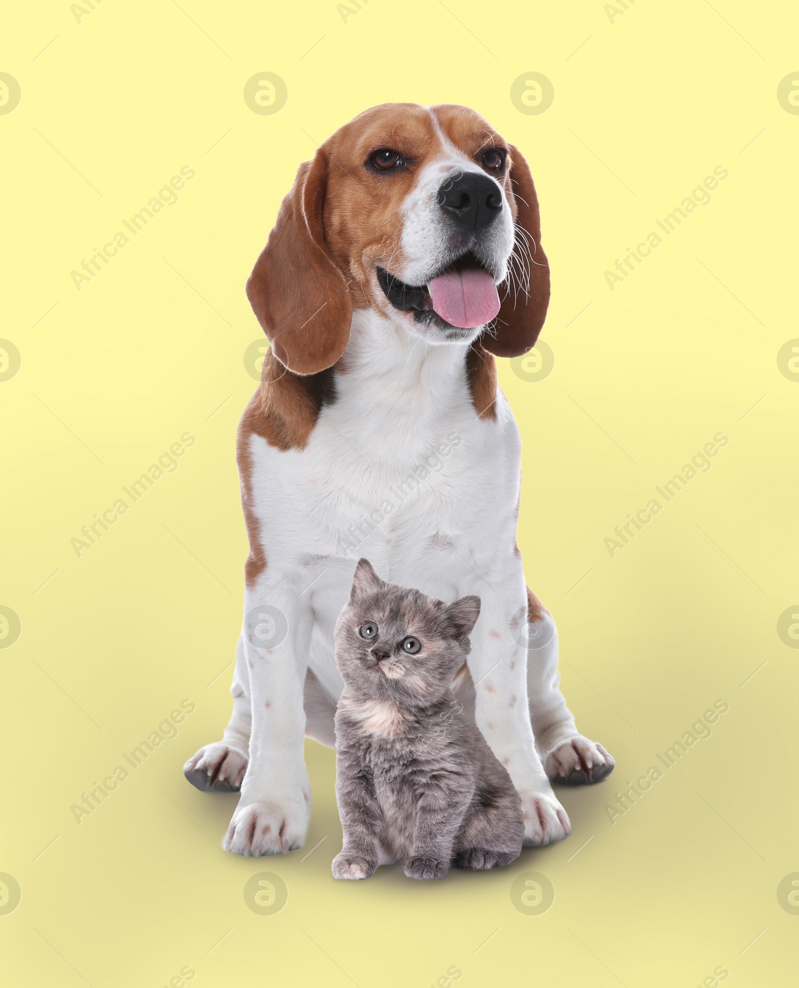 Image of Cute cat and dog on pale yellow background. Animal friendship