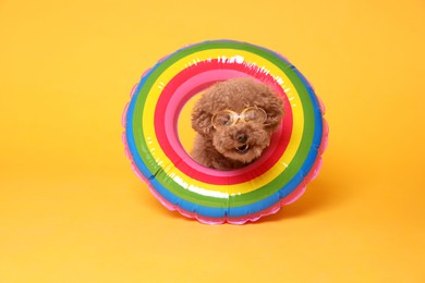 Photo of Cute Maltipoo dog with inflatable ring and swimming goggles on orange background