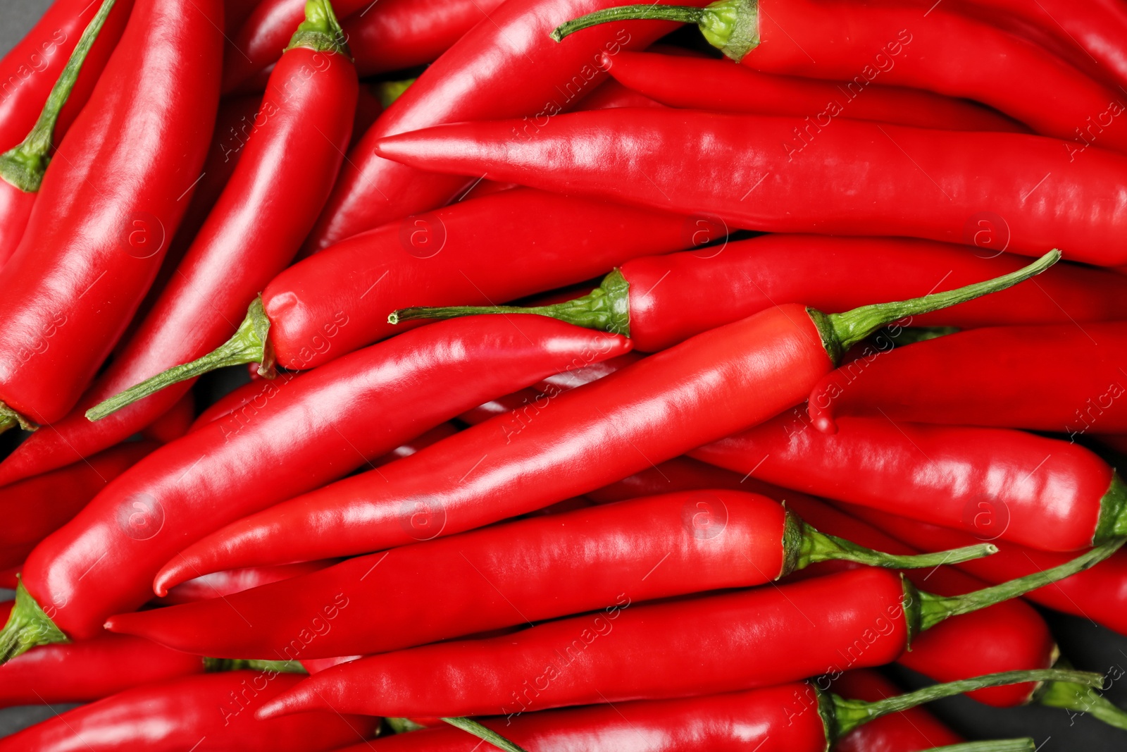 Photo of Ripe hot chili peppers as background, closeup