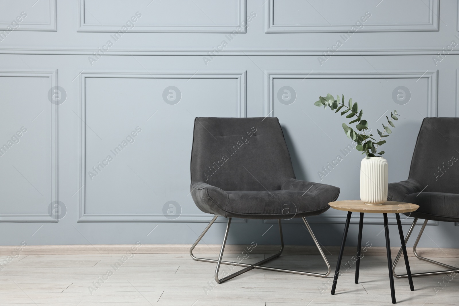 Photo of Comfortable armchairs, side table and eucalyptus indoors, space for text