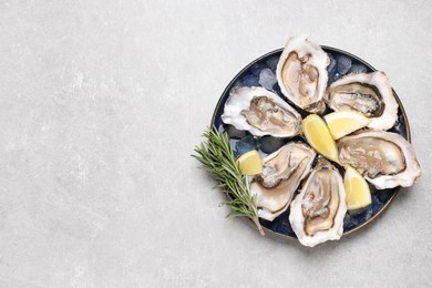 Delicious fresh oysters with lemon slices and rosemary on light grey table, top view. Space for text