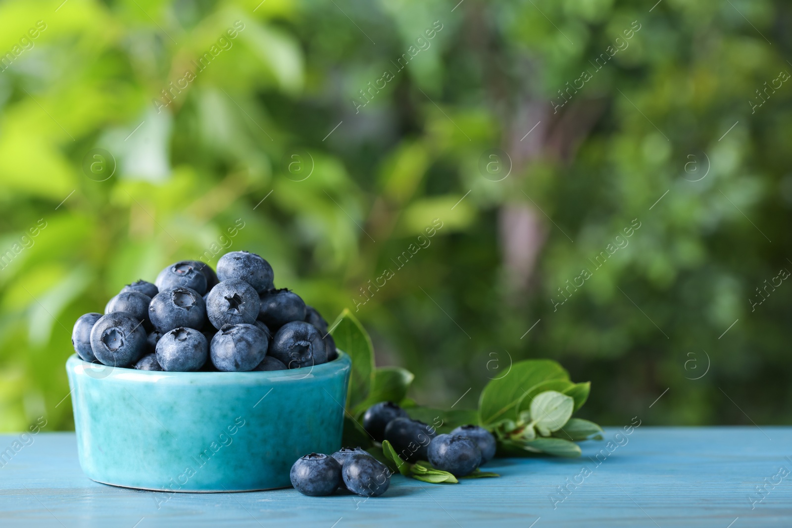 Photo of Tasty fresh blueberries and green leaves on blue wooden table outdoors, space for text