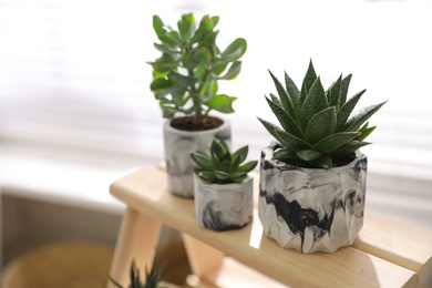 Photo of Beautiful potted succulents on wooden stand indoors