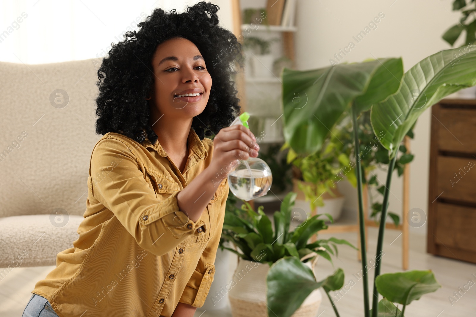 Photo of Happy woman spraying beautiful houseplant leaves with water indoors