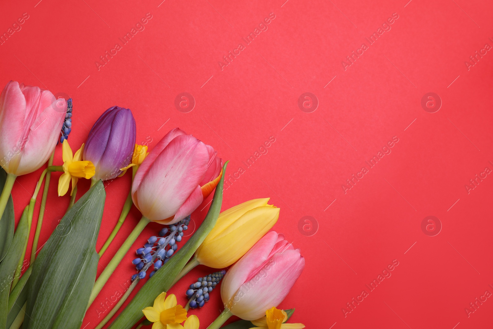 Photo of Beautiful different flowers on red background, flat lay. Space for text