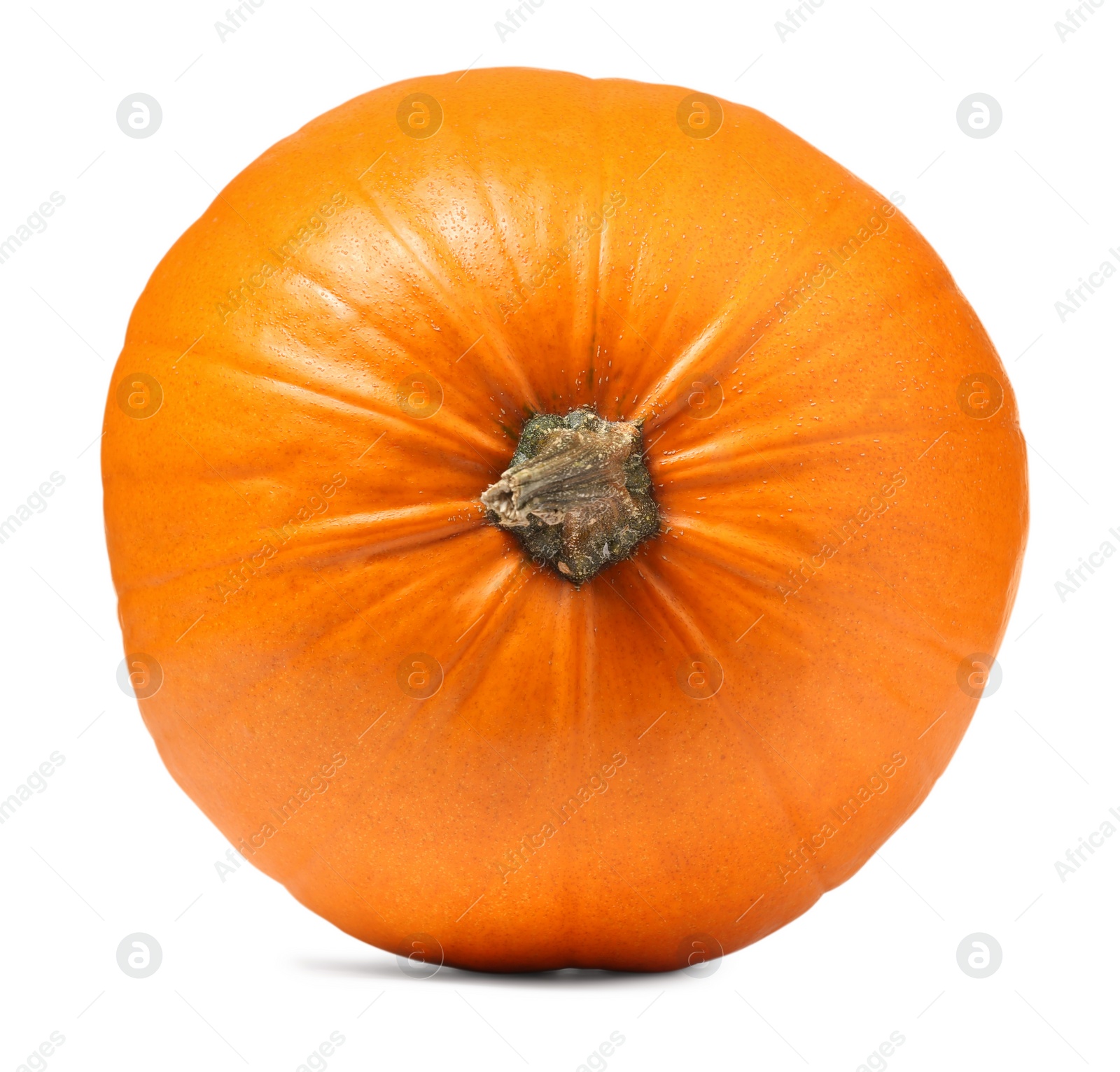 Photo of One fresh orange pumpkin isolated on white