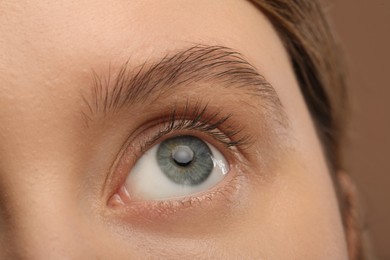 Woman with beautiful natural eyelashes on light brown background, closeup