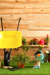 Photo of Wheelbarrow with gardening tools and flowers near wooden wall