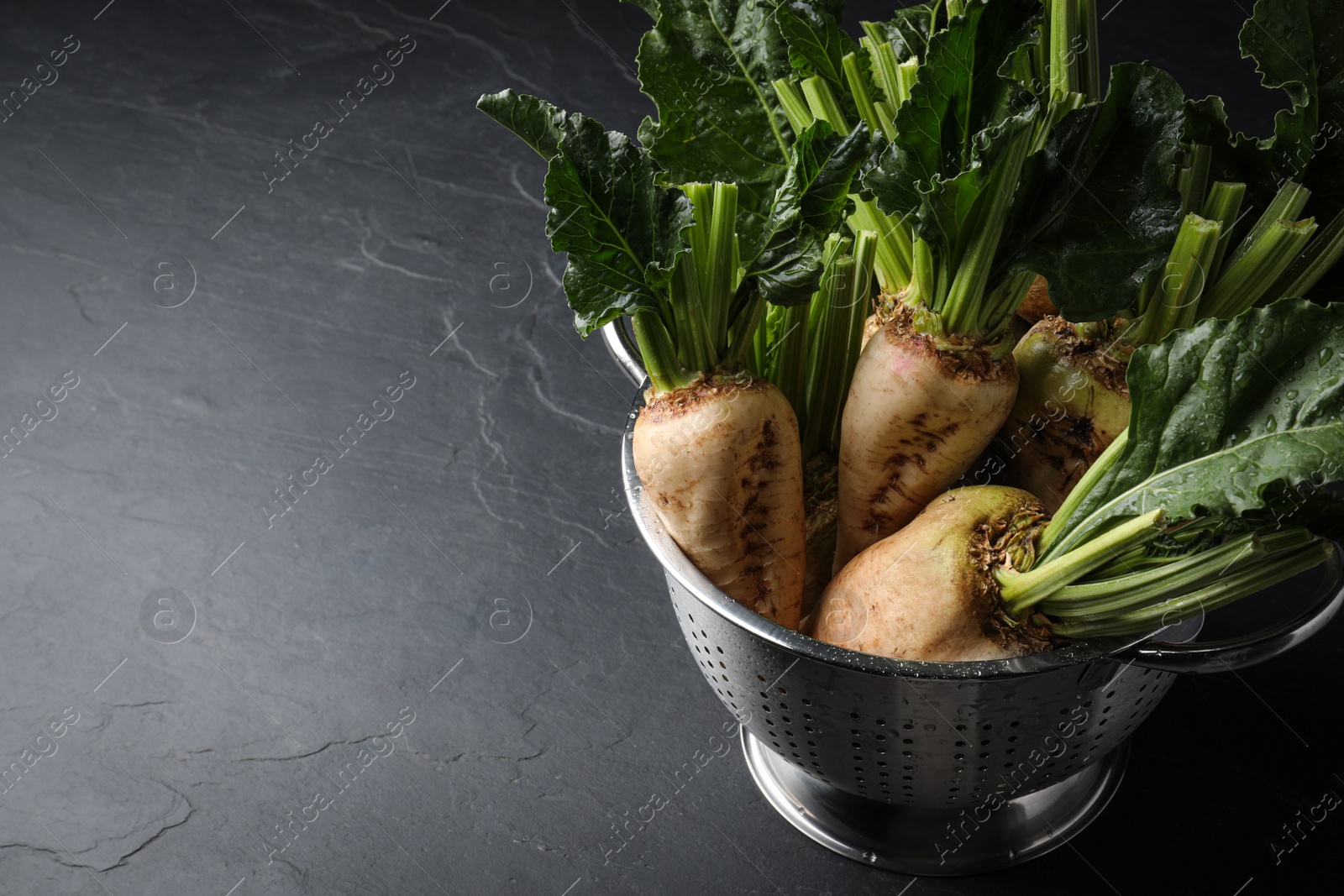 Photo of Colander with fresh sugar beets on black table, above view. Space for text