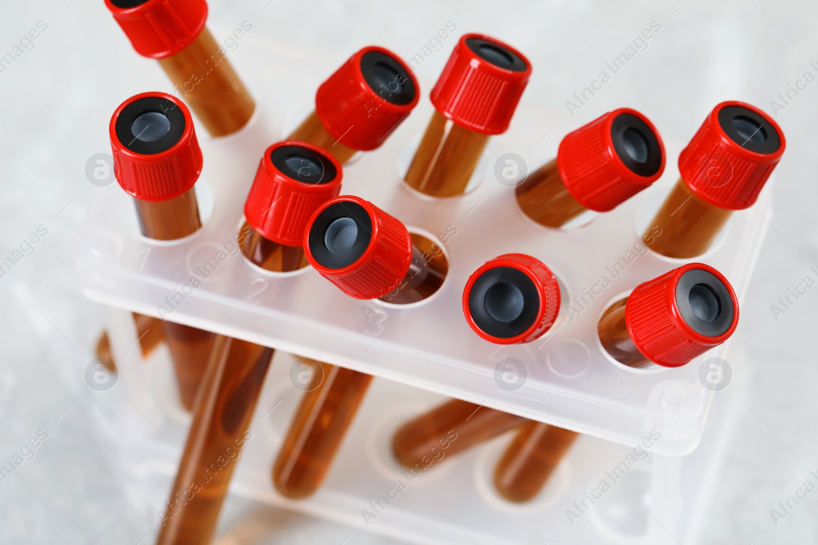 Photo of Test tubes with brown liquid in stand, closeup