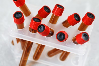 Test tubes with brown liquid in stand, closeup