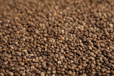 Photo of Raw organic hemp seeds as background, closeup