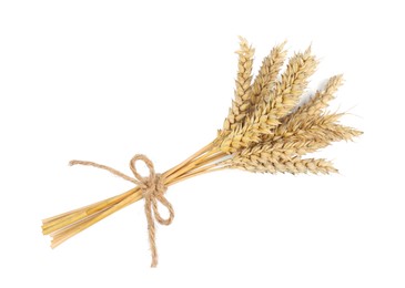 Photo of Bunch of dried wheat on white background, top view