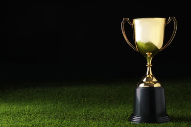 Photo of Golden trophy cup on green grass against black background. Space for text