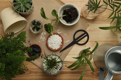 Flat lay composition with different house plants on wooden table