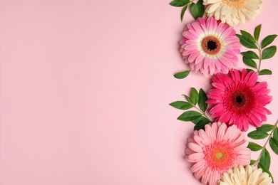 Photo of Flat lay composition with beautiful bright gerbera flowers on color background, top view. Space for text