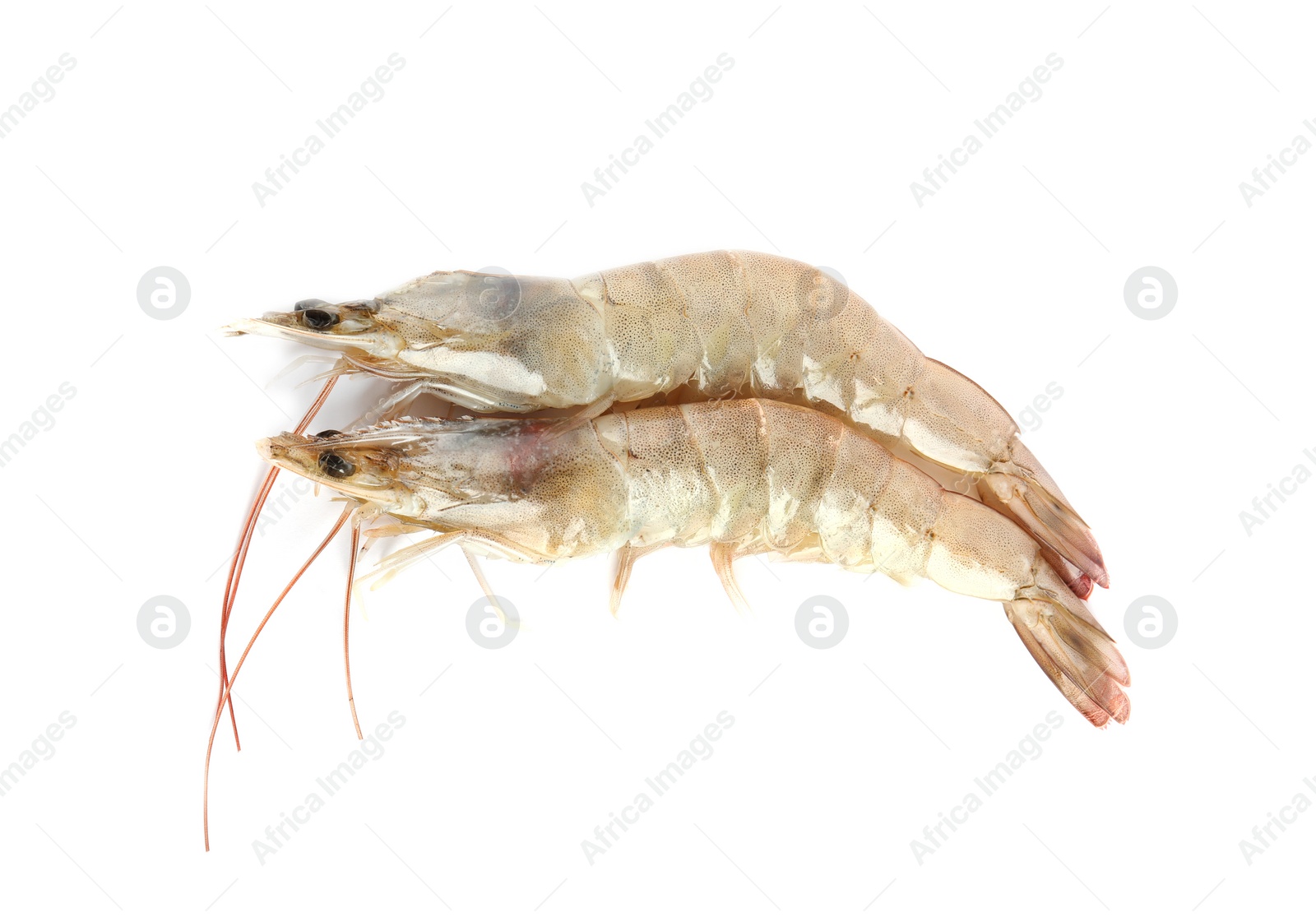 Photo of Fresh raw shrimps isolated on white, top view. Healthy seafood